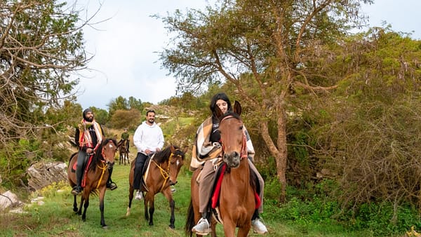 Horse Riding Experience - Recently Added Experiences - Image 2