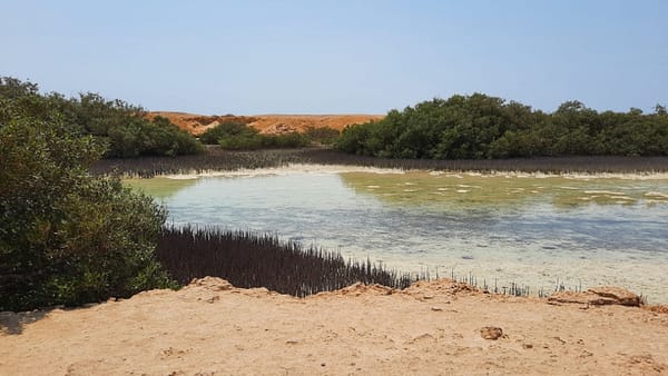 Jeep safari adventure at Nabq National Park with  camel ride and dinner - Sightseeing and Tours - Image 2