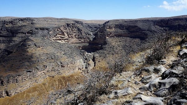 Salalah: Private Full-Day Jebel Safari Tour East - Recently Added Experiences - Image 2
