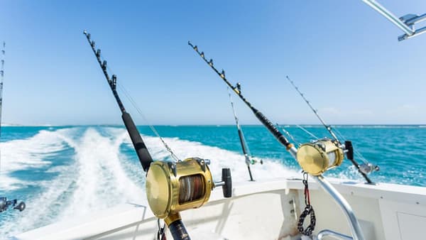 Trolling in Ocean for Big Fish - Top-Rated Attractions - Image 2