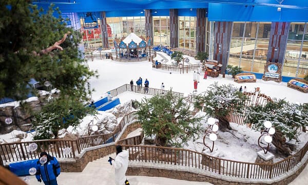 Abu Dhabi Snow Premium Pass For One At Kyka Group National Deal - Image 5