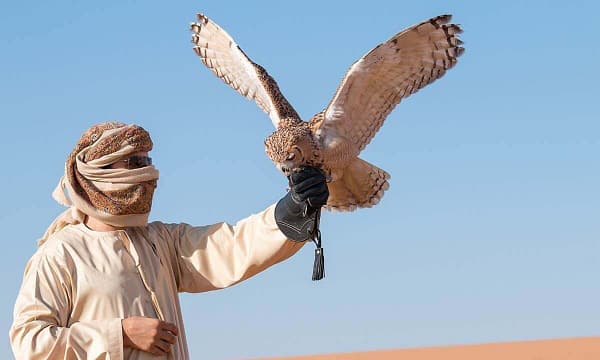 Desert Safari W/ Centralized Van W/ Optional 30-Min Quad Bike, & More Sharjah & N. Emirates - Image 12