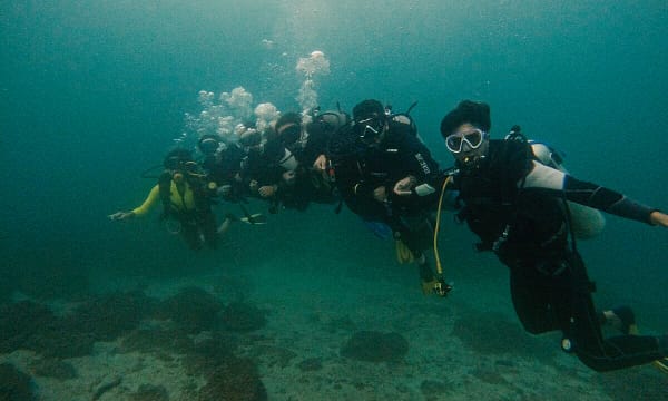 Dive Into Adventure With Diving Course Dubai - Image 10