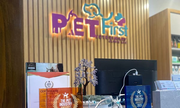 Dog / Cat Grooming From Best Veterinary Clinic In The Uae Award Winner Dubai - Image 20