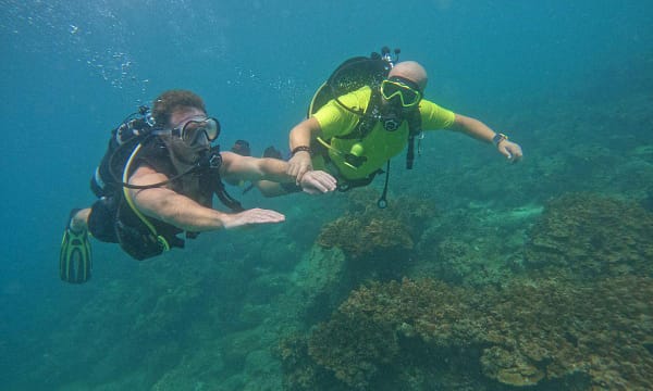 Embark On Adventure: Try Dive, Snorkeling Trip And Boat Trip Dubai - Image 9