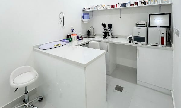 Grooming For Medium Dogs, Large Dogs, And Cats/Small Dogs Dubai - Image 3