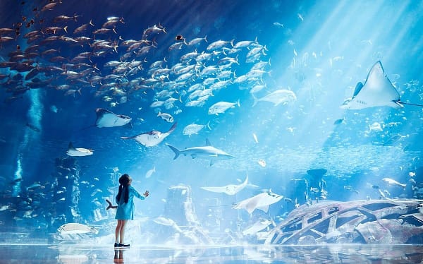 Aya Universe With Combo Tickets Dubai - Image 8