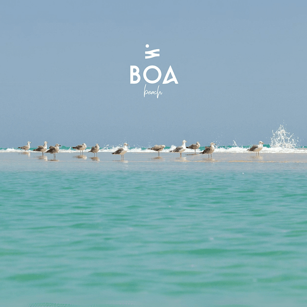 BOA The Beach in Jeddah Nightlife
