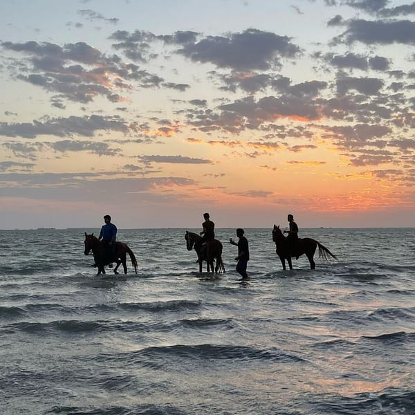 Horse Riding in Jeddah Experiences