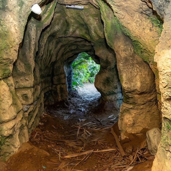 Tropical Land Top-Rated Attractions