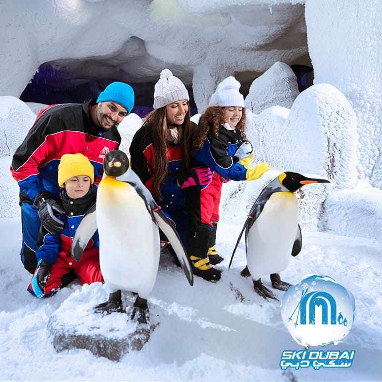 Ski Dubai: Snow Premium with Penguin Encounter Attractions Special Offers