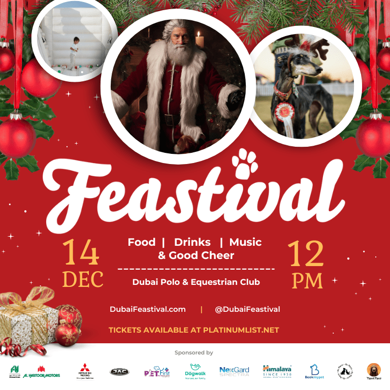 Dog-friendly Family Festival Christmas Events