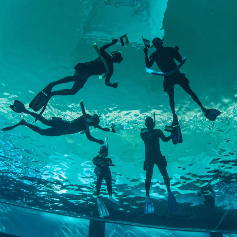 Deep Dive Dubai Surface Snorkeling Experience – Water Sports Deep Dive Dubai Surface Snorkeling Experience Water Sports