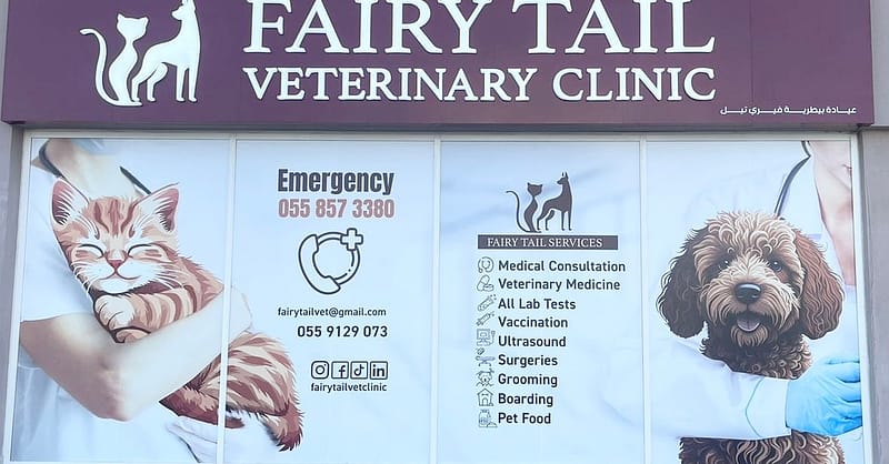 Grooming For Medium Dogs